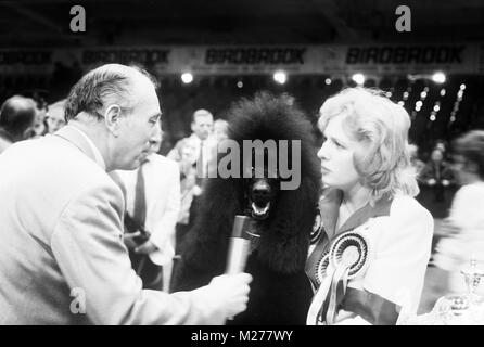 ch montravia tommy gun interviewed with marita rogers after winning crufts bis 1985 Stock Photo
