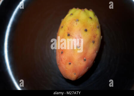 Opuntia ficus-indica still life Stock Photo