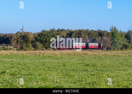 Harzer Schmalspurbahn im Selketal Stock Photo