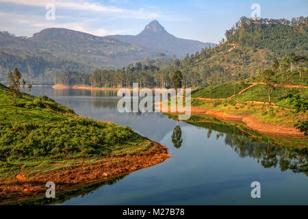 Adam's Peak, Maskeliya, Ratnapura, Sri Lanka, Asia Stock Photo