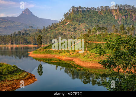 Adam's Peak, Maskeliya, Ratnapura, Sri Lanka, Asia Stock Photo