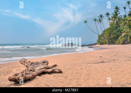 Tropical Palm Tree beach in Dondra, Sri Lanka, Asia Stock Photo