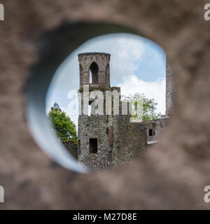 Blarney Castle and Gardens, County Cork, Ireland Stock Photo