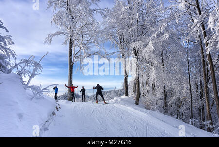 Four cross country skiers take a rest on the top of the hill, under frosted tree, beech. Snow covered mountains in the background. Sunny winter day. Stock Photo