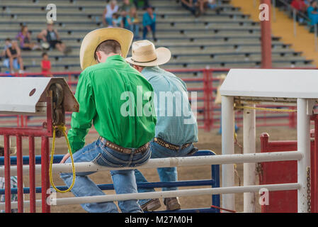 Williams Lake, British Columbia/Canada - June 30, 2016: two cowboys sit on the chutes watching the 90th Williams Lake Stampede, one of the largest in  Stock Photo