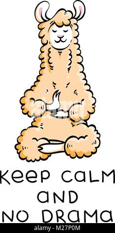 Cute meditating furry llama. Vector cartoon illustration on a white background with motivational lettering. Keep calm and no drama. Stock Vector