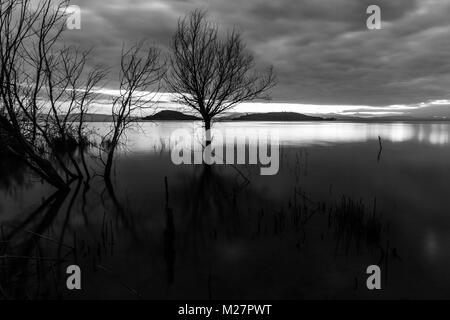Sunset at the lake, with skeletal trees and plants, and beautiful, moody sky Stock Photo
