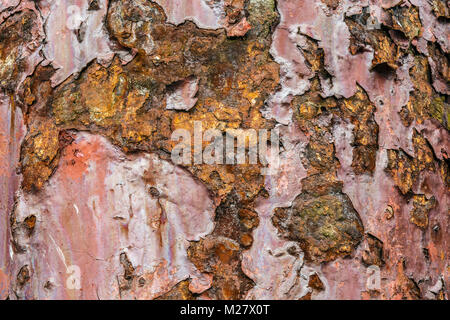 Rusty metal Stock Photo
