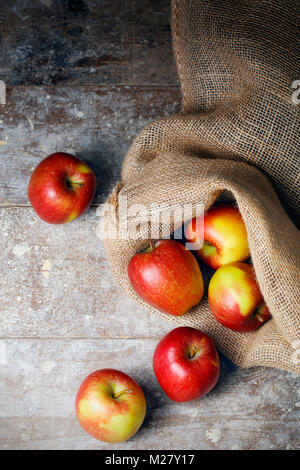 Fresh apples from orchard in old hessian sack Stock Photo