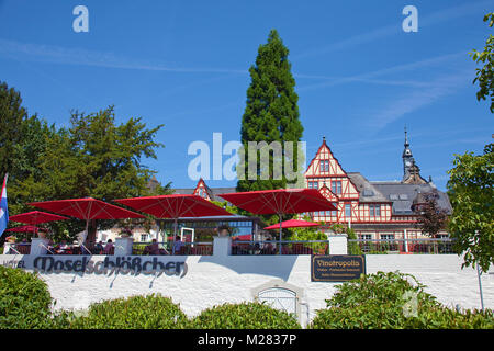 Panorama terrace of hotel Moselschloesschen at riverside, Traben, Traben-Trarbach, Moselle river, Rhineland-Palatinate, Germany, Europe Stock Photo