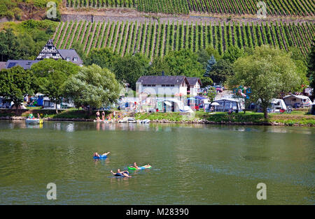 Camping ground at riverside, bathing in Moseller river, Wolf, Traben-Trarbach, Moselle river, Rhineland-Palatinate, Germany, Europe