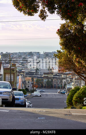 Sunny view of the San Francisco rural landscape at California Stock ...