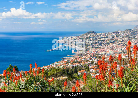 madeira portugal madeira view of Funchal the capital city of Madeira looking across the bay port harbour and old town Funchal Madeira Portugal Europe Stock Photo