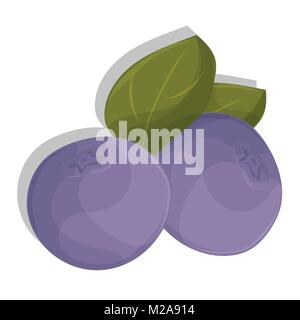 cartoon blueberries with leaves. Isolated on white. Icon for your design Stock Vector