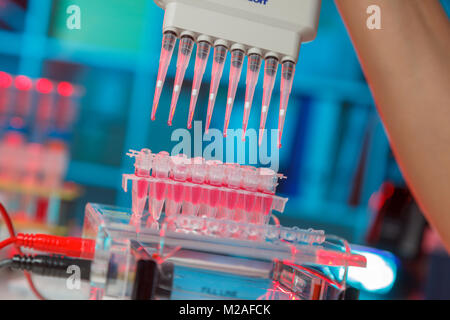 electrophoresis device in a genetics lab to decrypt the genetic code Stock Photo