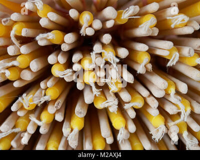 Close up of pile of incense stick and candle prepared for worship to Buddha in temple Stock Photo