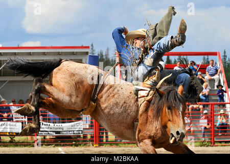 A bareback rider tries to stay on his bucking mount at an outdoor rodeo in Alberta Canada Stock Photo