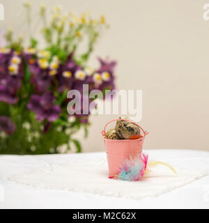 Natural Quail eggs in pink bucket, colorful feathers and fresh violet flowers, light rustic napkin on table, selective focus. Easter, spring, organic food, dieting, copy space Stock Photo