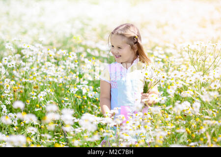 Child playing in daisy field. Girl picking fresh flowers in daisies meadow on sunny summer day. Kids play outdoors. Children explore nature. Little gi Stock Photo