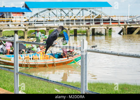 A black large billed crow, resting on a white railing next to Botahtaung jetty bridge and boats, Yangon, Myanmar, Burma, South East Asia Stock Photo