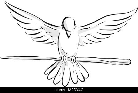 How to Draw a Dove – Arteza.com