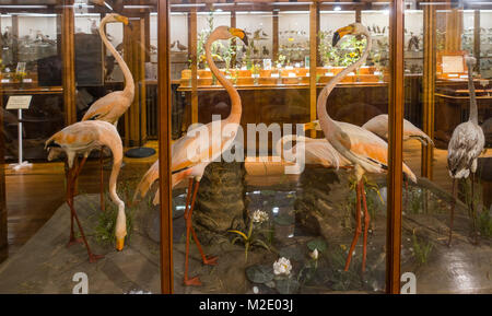 Fairbanks museum and planetarium St Johnsbury VT Stock Photo