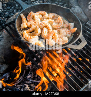 Shrimp frying in skillet over campfire Stock Photo