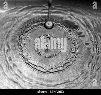 water droplets dropping into a stainless steel sink Stock Photo