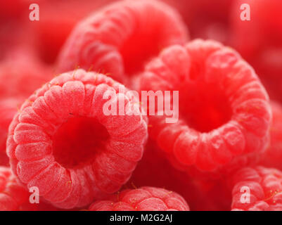 Closeup of some fresh raspberries Stock Photo