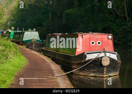 Narrow boats moored up along a tow path on the Grand Union Canal on a sunny Spring morning, Hatton, Warwickshire Stock Photo