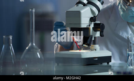 Medical scientist doing lab experiments, trying to breed new species of bacteria, stock video Stock Photo