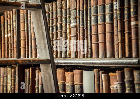 Old vintage books on wooden bookshelf and ladder in a library Stock Photo