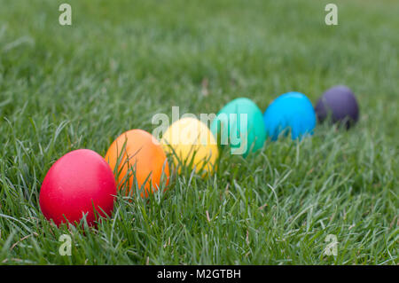 Six different color Easter eggs in a grass Stock Photo