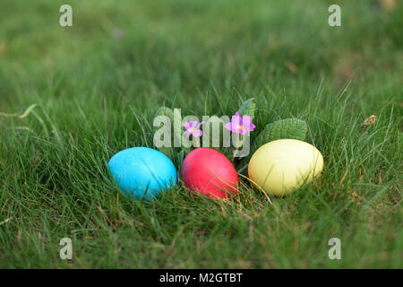 Three colour easter eggs in the grass Stock Photo