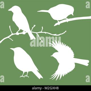 Vector birds collection Stock Vector