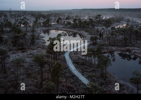 Aerial view of wooden path, road in bog on early misty winter morning with trees and grass covered in frost. Kemeri national park sunrise, Latvia. Two Stock Photo