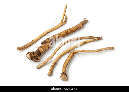 Fresh picked homegrown horseradish isolated on white background Stock Photo