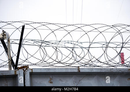 Barbed wire on concrete fence Stock Photo