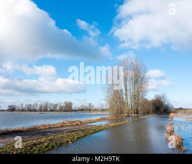 flood plains of river ijssel near Zalk between Kampen and Zwolle in the netherlands Stock Photo