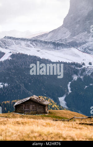 Idyllic alpine mountain scenery with traditional old mountain wooden cottage in Seceda peak, Dolomiti. South Tyrol, Italy Stock Photo