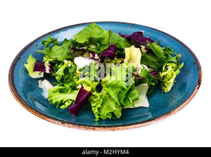Fresh garden salads on blue plate Stock Photo