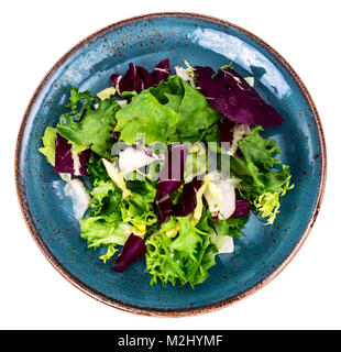 Fresh garden salads on blue plate Stock Photo
