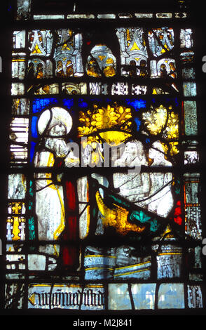 Stained glass window depicting Adam and Eve in the Garden of Eden, Holy ...