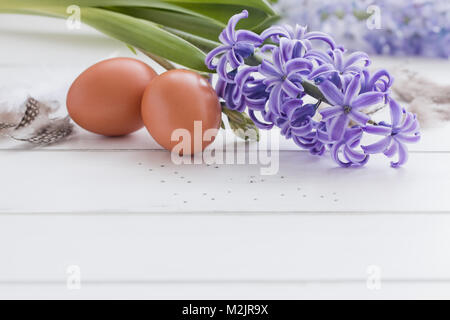 Chicken eggs and fresh violet hyacinths on the white background. Easter postcard concept. Isolated. Stock Photo