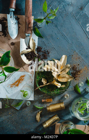 Golden branch with gardening tools, soil and green plants. Botanical and genetically modified agricultural concept. Stock Photo