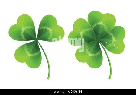 Four leaf clover isolated on white. Vector illustration Stock Vector