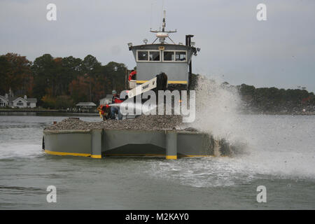 Contractors working for the U.S. Army Corps of Engineers, Norfolk District, use high-pressure water cannons to spread fossilized oyster shell in the Lynnhaven River in Virginia Beach, Va., in an effort to build medium relief oyster reefs for an ongoing oyster restoration project. Lynnhaven River Oyster Restoration (071130-A-5177B-062) by norfolkdistrict Stock Photo