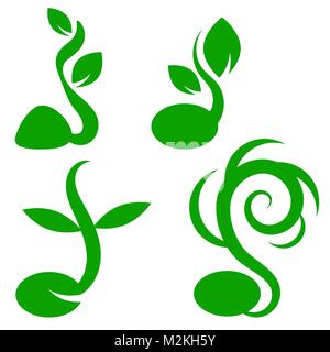 Phases Plant Growth. Little Green Sprout Seedling Germinating from Seed Stock Vector