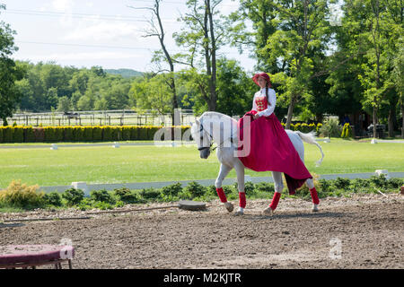 Young lady equestrian in traditional Hungarian dress, on show horse. Stock Photo