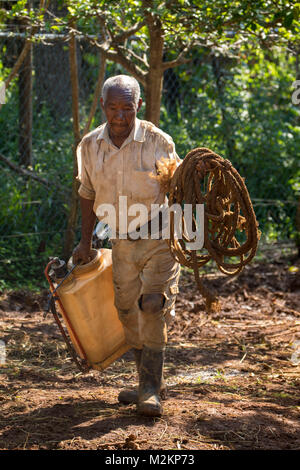 brother 'D' Jamaican third age cowboy, Manchester parish, Jamaica,West Indies, Caribbean Stock Photo